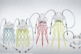 Meduse Design